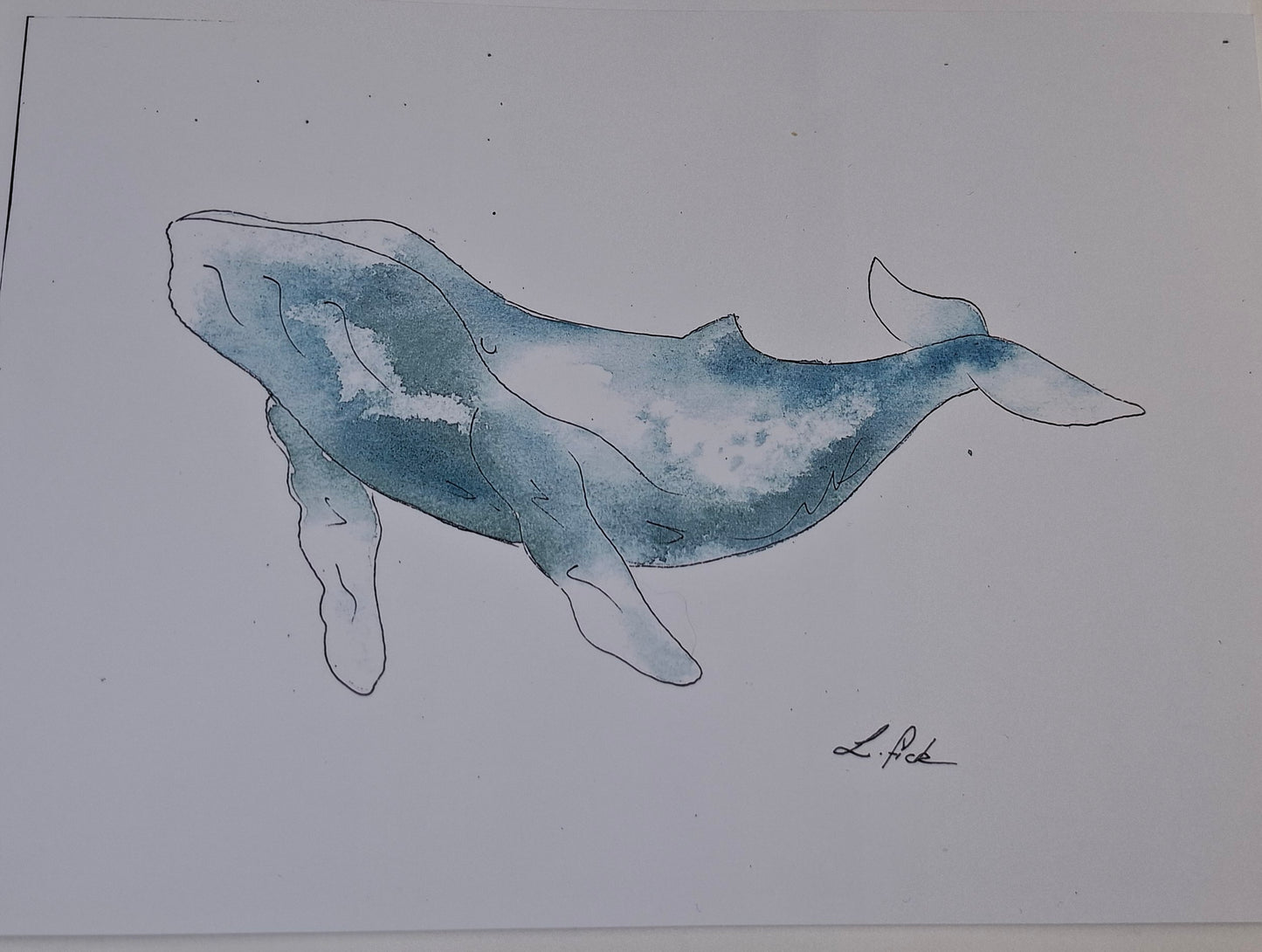 Humpback whale water colour print