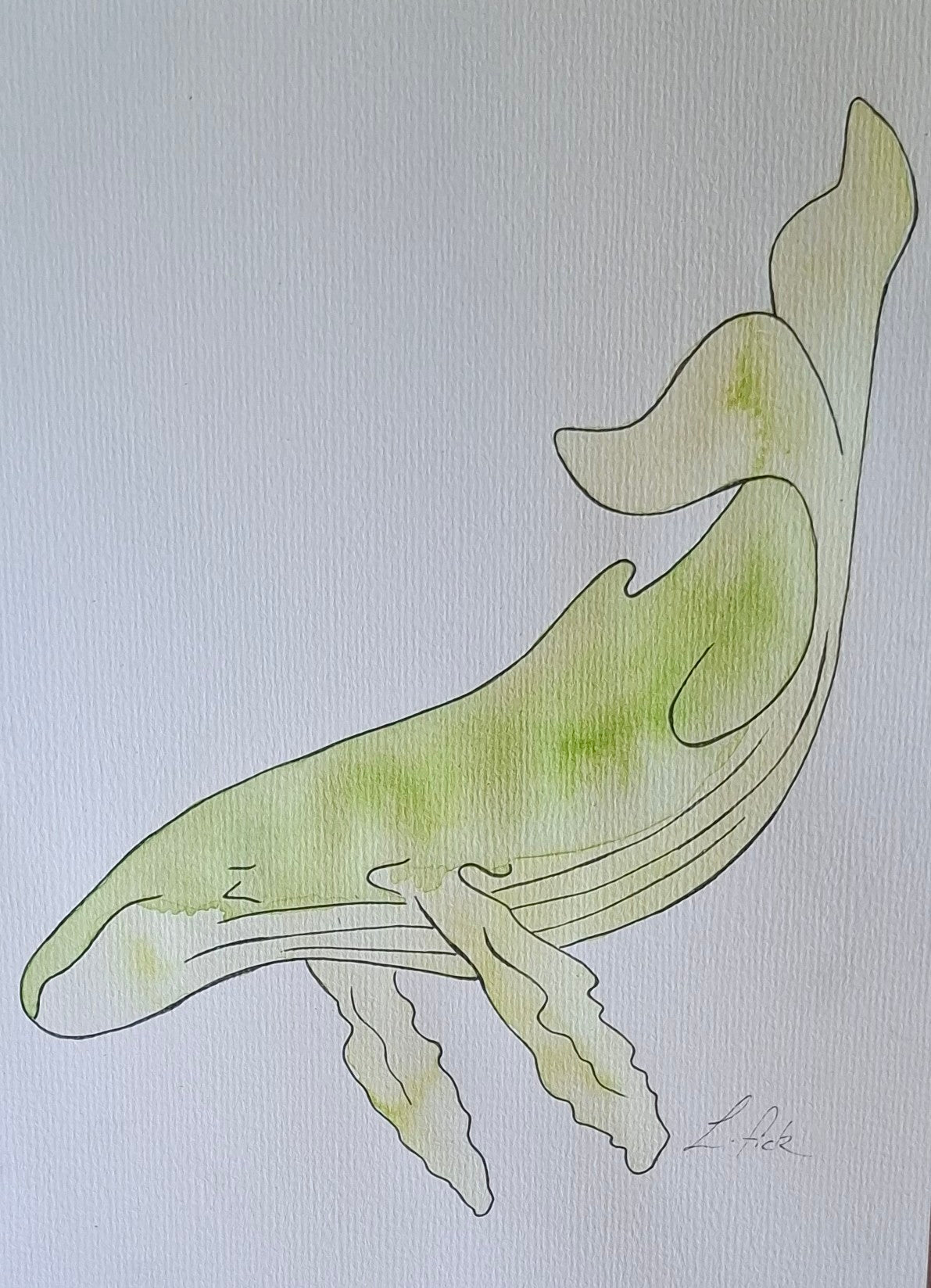 water colour whale