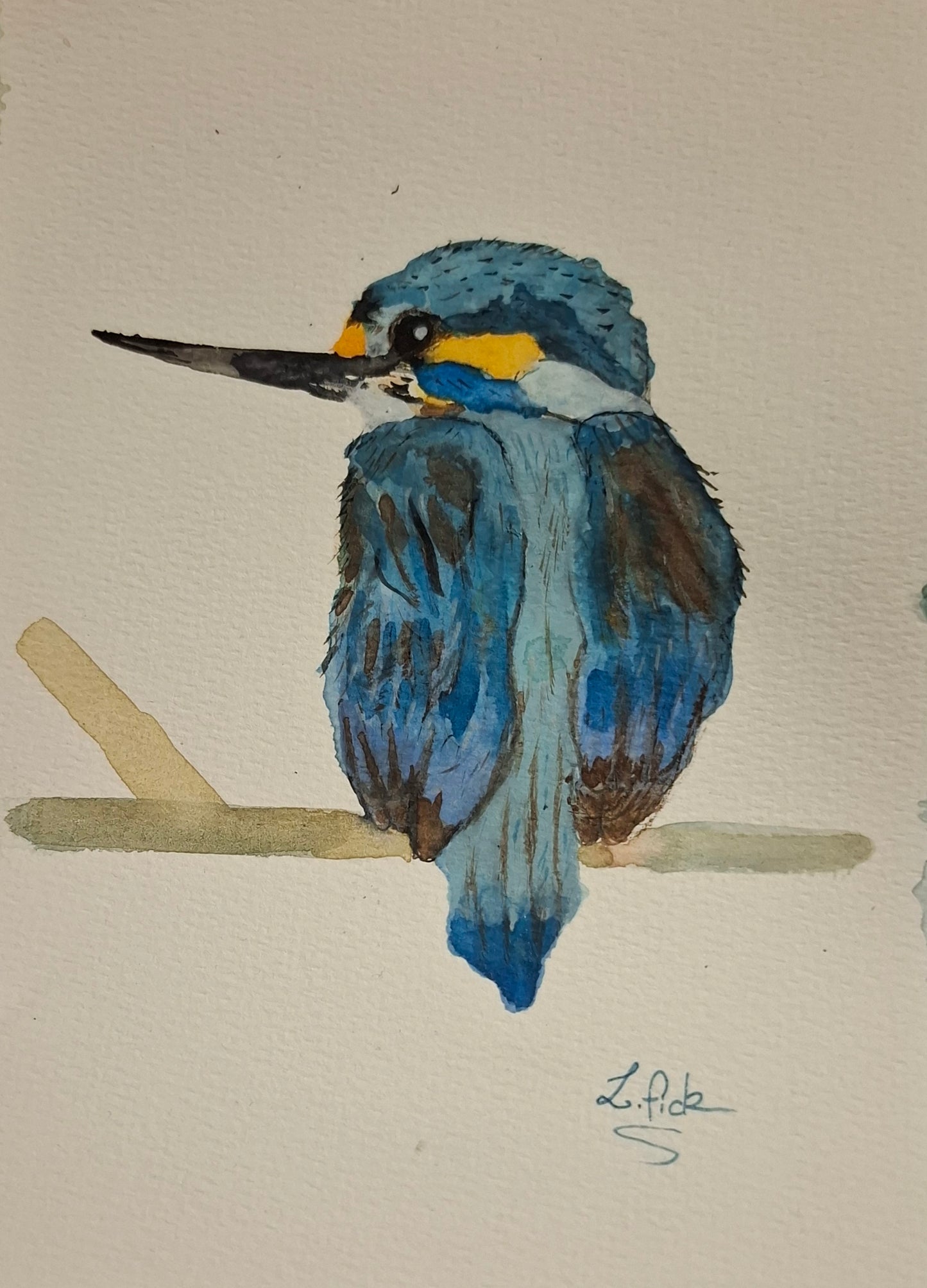 water colour king fisher