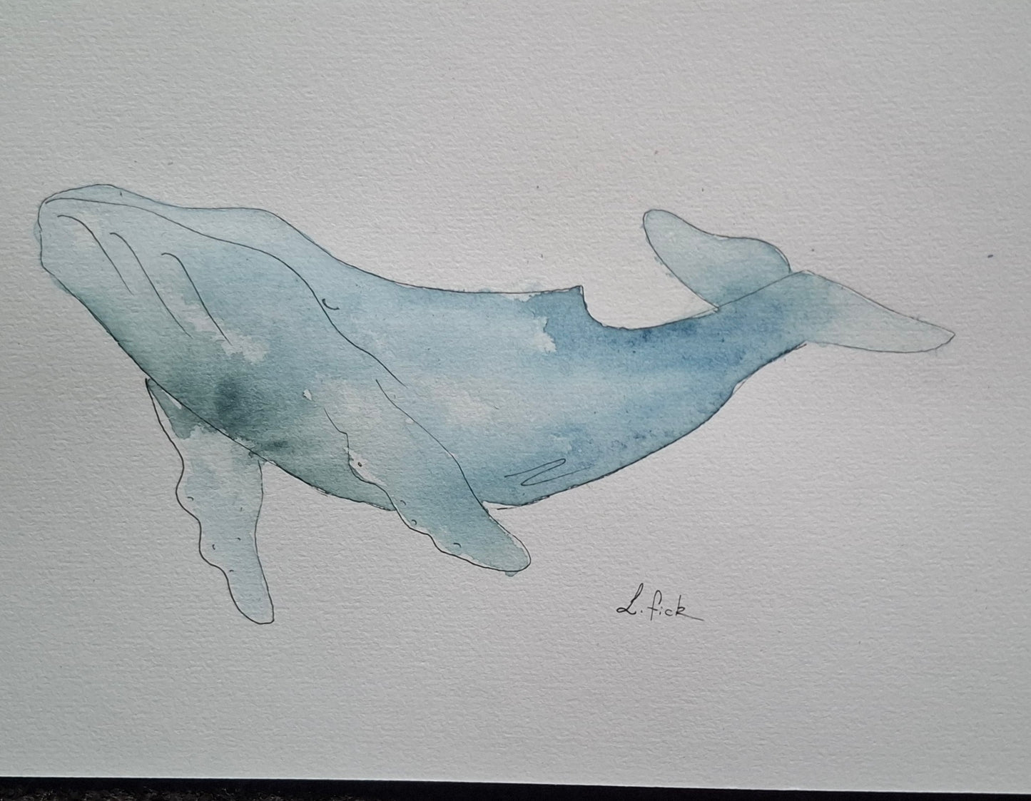 watercolour humpback whale