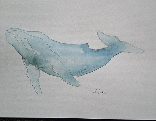 watercolour humpback whale