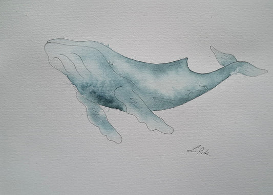 watercolour humpback whale