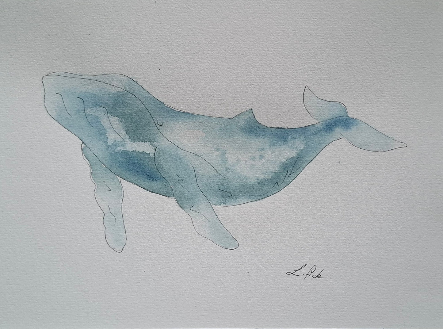 watercolour humpback whale