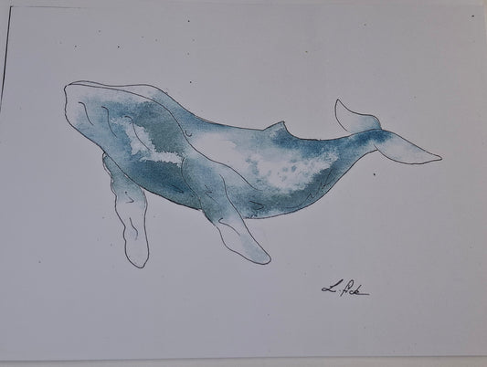 Humpback whale water colour print