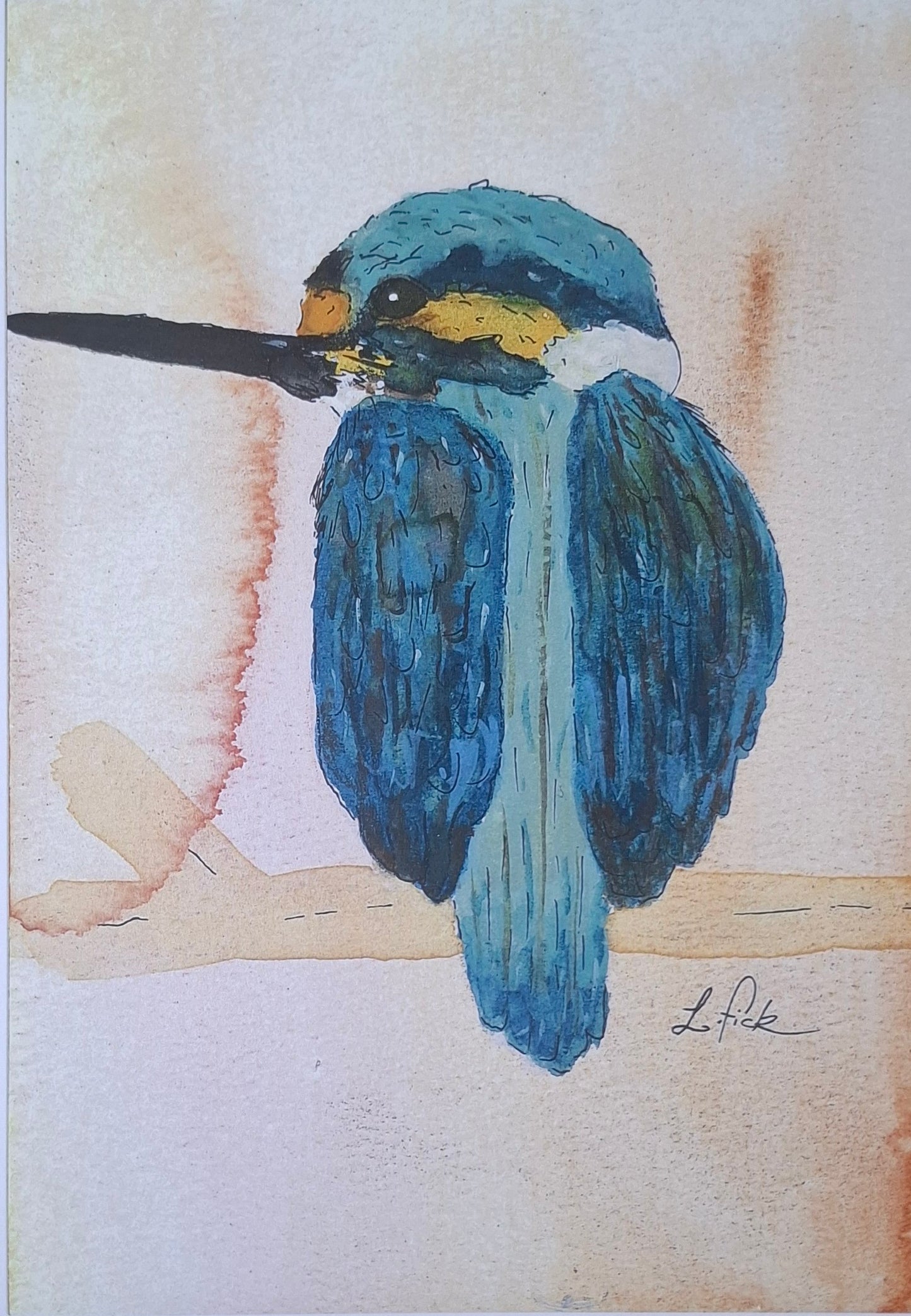 King fisher colour print