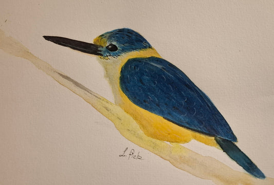 king fisher water colour